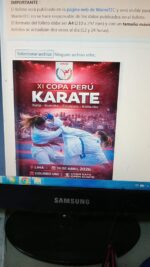 Canilleras Oss con logo WKF - Imagen 6