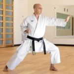 UNIFORME DE KATA PUNOK GOLD I CANVAS WKF - Imagen 5